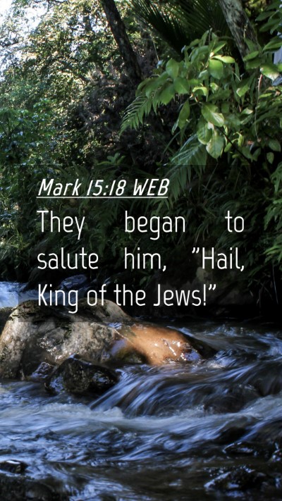 Picture 04 - Mark 15:18 WEB Mobile Phone Wallpaper - They began to salute him, 