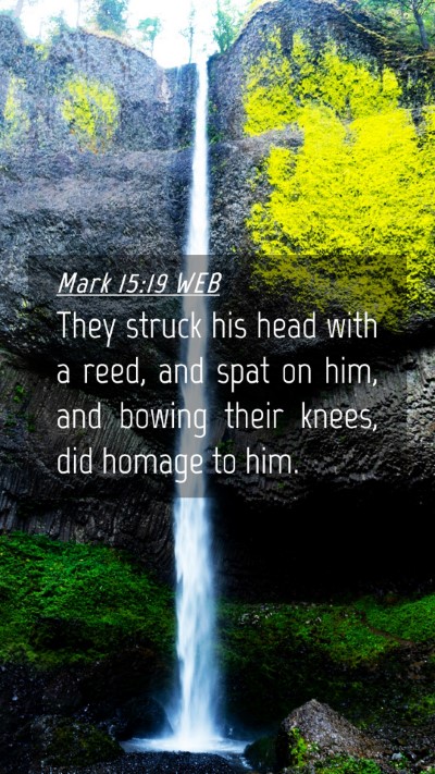 Picture 04 - Mark 15:19 WEB Mobile Phone Wallpaper - They struck his head with a reed, and spat on - Mobile Bible Verse Wallpaper
