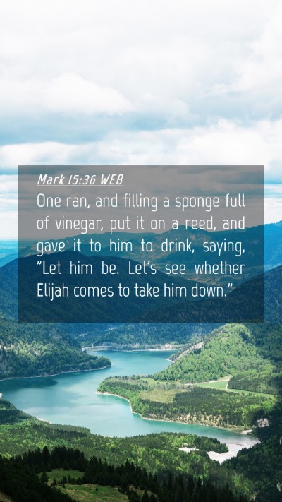 Picture 04 - Mark 15:36 WEB Mobile Phone Wallpaper - One ran, and filling a sponge full of vinegar, - Mobile Bible Verse Wallpaper