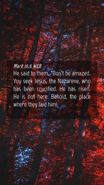 Picture 04 - Mark 16:6 WEB Mobile Phone Wallpaper - He said to them, 