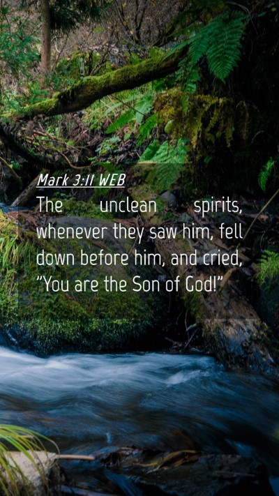 Picture 04 - Mark 3:11 WEB Mobile Phone Wallpaper - The unclean spirits, whenever they saw him, fell - Mobile Bible Verse Wallpaper