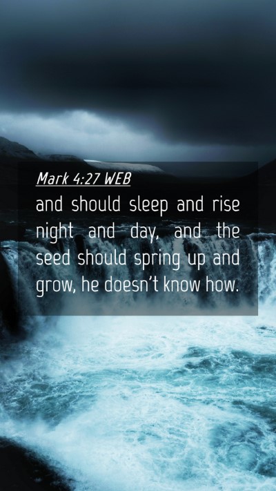 Picture 04 - Mark 4:27 WEB Mobile Phone Wallpaper - and should sleep and rise night and day, and the - Mobile Bible Verse Wallpaper