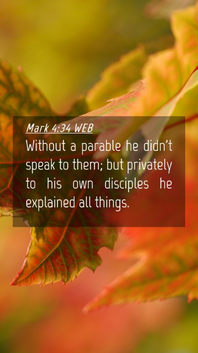 Picture 04 - Mark 4:34 WEB Mobile Phone Wallpaper - Without a parable he didn't speak to them; but - Mobile Bible Verse Wallpaper
