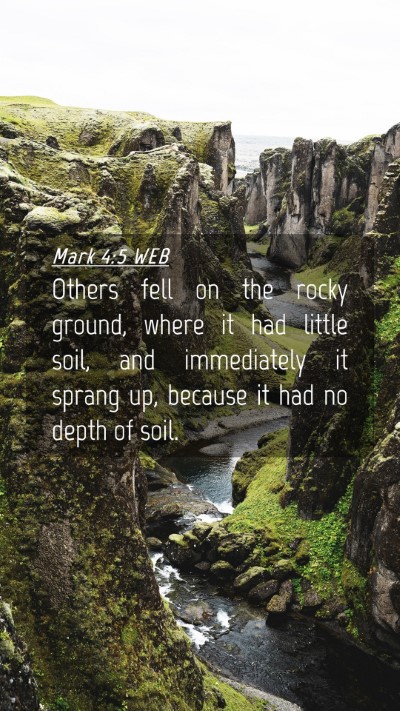 Picture 04 - Mark 4:5 WEB Mobile Phone Wallpaper - Others fell on the rocky ground, where it had - Mobile Bible Verse Wallpaper