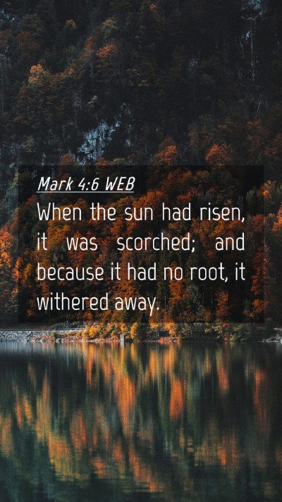 Picture 04 - Mark 4:6 WEB Mobile Phone Wallpaper - When the sun had risen, it was scorched; and - Mobile Bible Verse Wallpaper