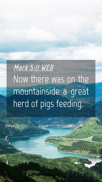 Picture 04 - Mark 5:11 WEB Mobile Phone Wallpaper - Now there was on the mountainside a great herd of - Mobile Bible Verse Wallpaper