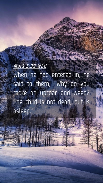 Picture 04 - Mark 5:39 WEB Mobile Phone Wallpaper - When he had entered in, he said to them, 