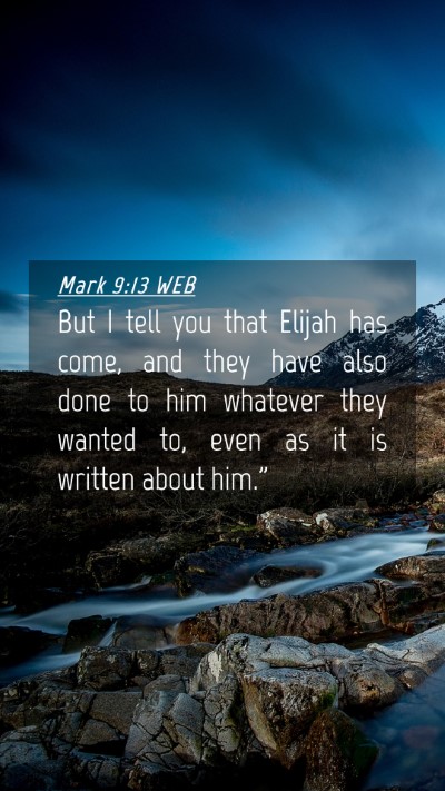 Picture 04 - Mark 9:13 WEB Mobile Phone Wallpaper - But I tell you that Elijah has come, and they - Mobile Bible Verse Wallpaper