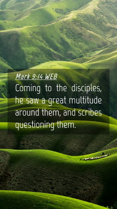 Picture 04 - Mark 9:14 WEB Mobile Phone Wallpaper - Coming to the disciples, he saw a great multitude - Mobile Bible Verse Wallpaper