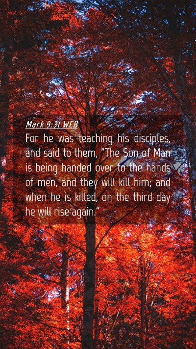 Picture 04 - Mark 9:31 WEB Mobile Phone Wallpaper - For he was teaching his disciples, and said to - Mobile Bible Verse Wallpaper