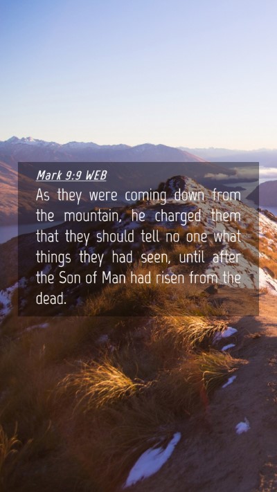 Picture 04 - Mark 9:9 WEB Mobile Phone Wallpaper - As they were coming down from the mountain, he - Mobile Bible Verse Wallpaper