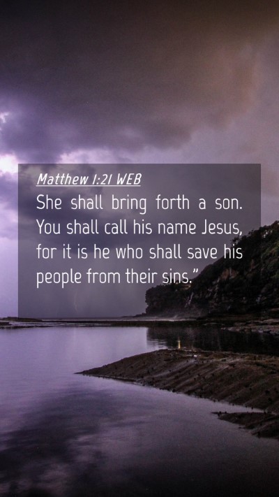 Picture 04 - Matthew 1:21 WEB Mobile Phone Wallpaper - She shall bring forth a son. You shall call his - Mobile Bible Verse Wallpaper