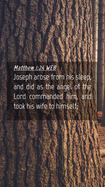 Picture 04 - Matthew 1:24 WEB Mobile Phone Wallpaper - Joseph arose from his sleep, and did as the angel - Mobile Bible Verse Wallpaper