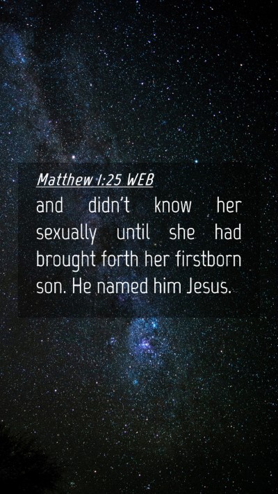 Picture 04 - Matthew 1:25 WEB Mobile Phone Wallpaper - and didn't know her sexually until she had - Mobile Bible Verse Wallpaper