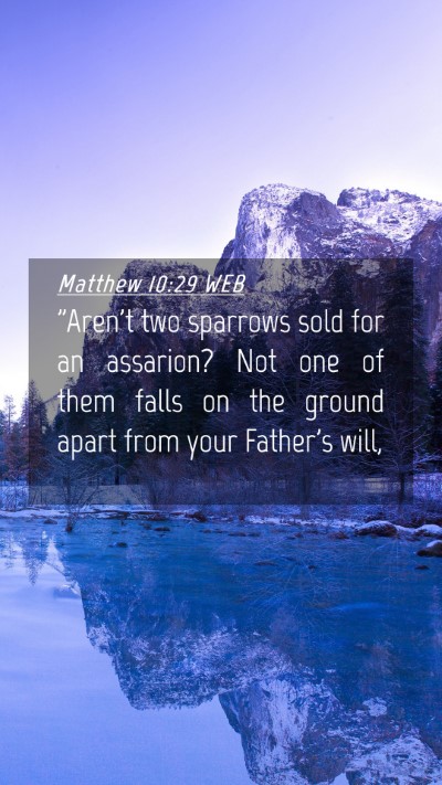 Picture 04 - Matthew 10:29 WEB Mobile Phone Wallpaper - 