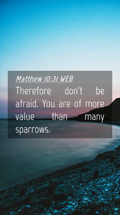 Picture 04 - Matthew 10:31 WEB Mobile Phone Wallpaper - Therefore don't be afraid. You are of more value - Mobile Bible Verse Wallpaper