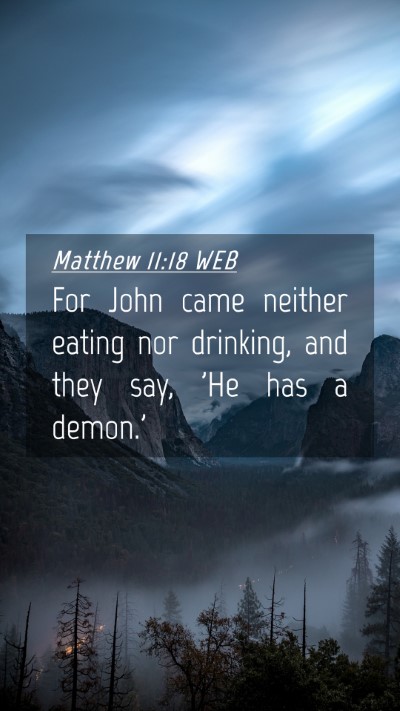 Picture 04 - Matthew 11:18 WEB Mobile Phone Wallpaper - For John came neither eating nor drinking, and - Mobile Bible Verse Wallpaper