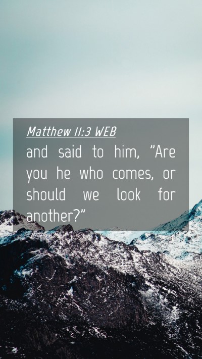 Picture 04 - Matthew 11:3 WEB Mobile Phone Wallpaper - and said to him, 