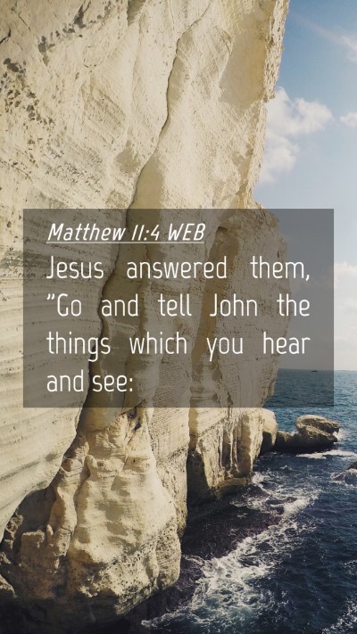 Picture 04 - Matthew 11:4 WEB Mobile Phone Wallpaper - Jesus answered them, 