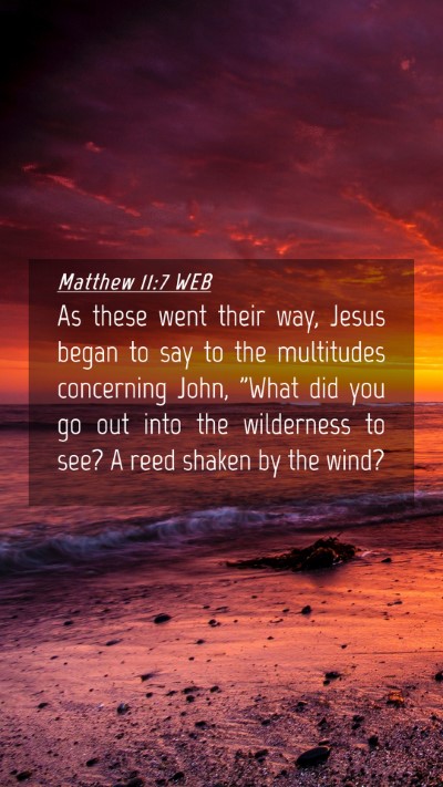Picture 04 - Matthew 11:7 WEB Mobile Phone Wallpaper - As these went their way, Jesus began to say to - Mobile Bible Verse Wallpaper