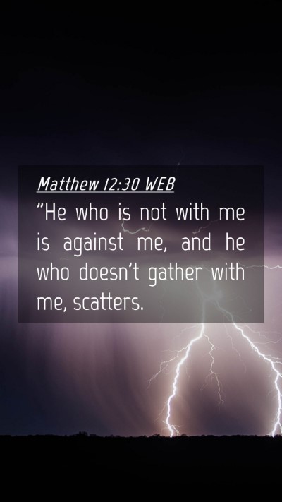Picture 04 - Matthew 12:30 WEB Mobile Phone Wallpaper - 