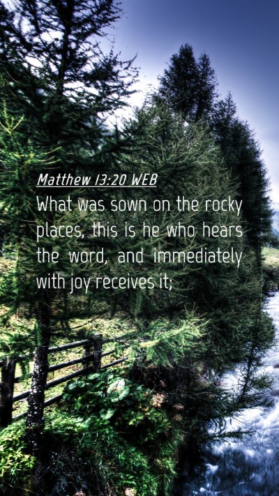 Picture 04 - Matthew 13:20 WEB Mobile Phone Wallpaper - What was sown on the rocky places, this is he who - Mobile Bible Verse Wallpaper