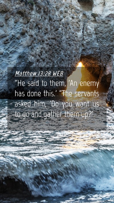 Picture 04 - Matthew 13:28 WEB Mobile Phone Wallpaper - 