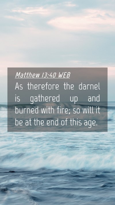 Picture 04 - Matthew 13:40 WEB Mobile Phone Wallpaper - As therefore the darnel is gathered up and burned - Mobile Bible Verse Wallpaper