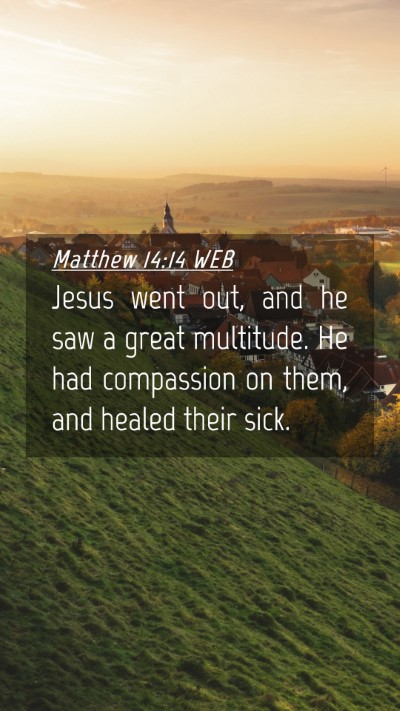 Picture 04 - Matthew 14:14 WEB Mobile Phone Wallpaper - Jesus went out, and he saw a great multitude. He - Mobile Bible Verse Wallpaper