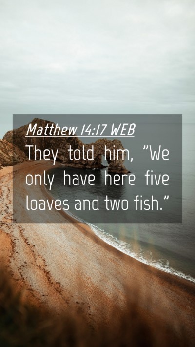 Picture 04 - Matthew 14:17 WEB Mobile Phone Wallpaper - They told him, 