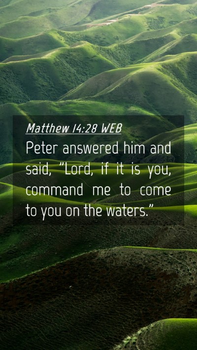 Picture 04 - Matthew 14:28 WEB Mobile Phone Wallpaper - Peter answered him and said, 