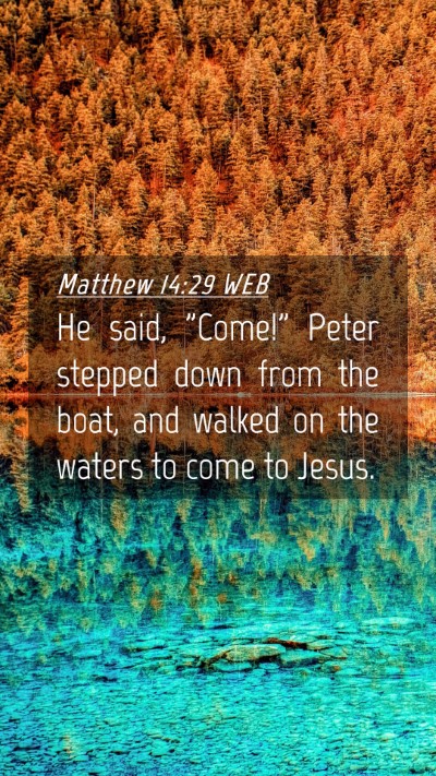 Picture 04 - Matthew 14:29 WEB Mobile Phone Wallpaper - He said, 