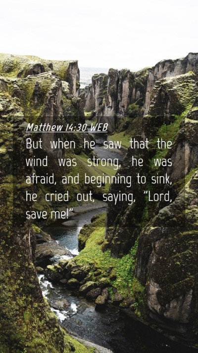 Picture 04 - Matthew 14:30 WEB Mobile Phone Wallpaper - But when he saw that the wind was strong, he was - Mobile Bible Verse Wallpaper