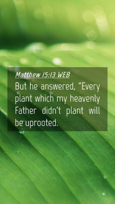 Picture 04 - Matthew 15:13 WEB Mobile Phone Wallpaper - But he answered, 