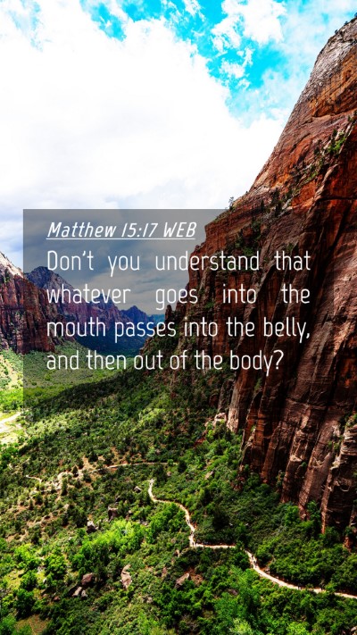 Picture 04 - Matthew 15:17 WEB Mobile Phone Wallpaper - Don't you understand that whatever goes into the - Mobile Bible Verse Wallpaper