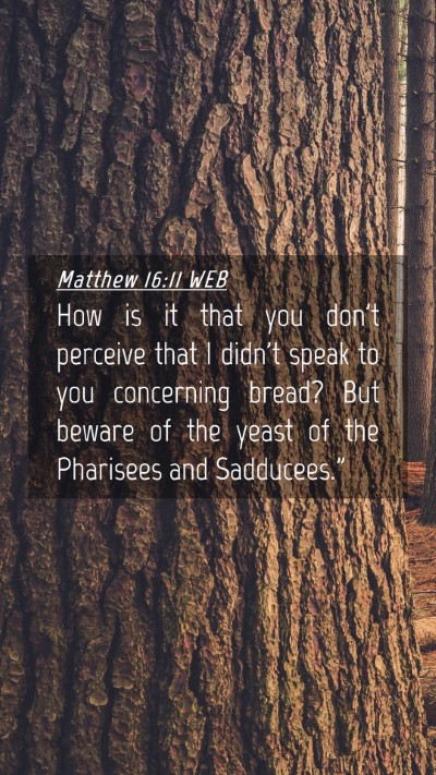 Picture 04 - Matthew 16:11 WEB Mobile Phone Wallpaper - How is it that you don't perceive that I didn't - Mobile Bible Verse Wallpaper