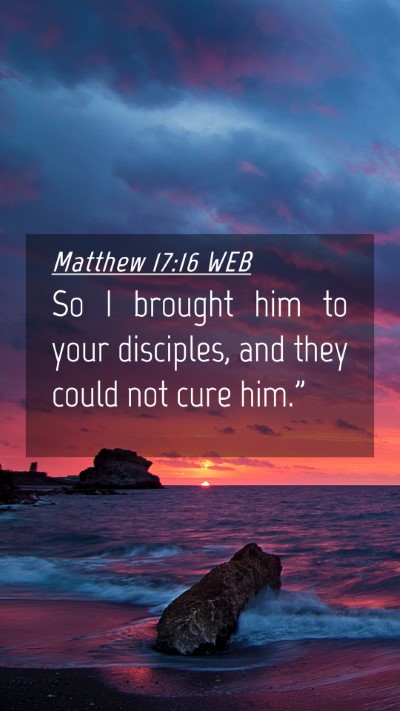 Picture 04 - Matthew 17:16 WEB Mobile Phone Wallpaper - So I brought him to your disciples, and they - Mobile Bible Verse Wallpaper