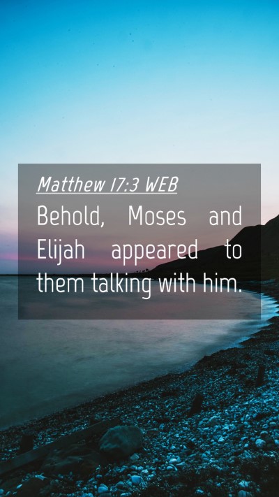 Picture 04 - Matthew 17:3 WEB Mobile Phone Wallpaper - Behold, Moses and Elijah appeared to them talking - Mobile Bible Verse Wallpaper