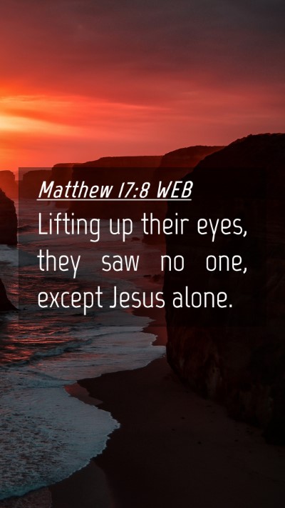 Picture 04 - Matthew 17:8 WEB Mobile Phone Wallpaper - Lifting up their eyes, they saw no one, except - Mobile Bible Verse Wallpaper
