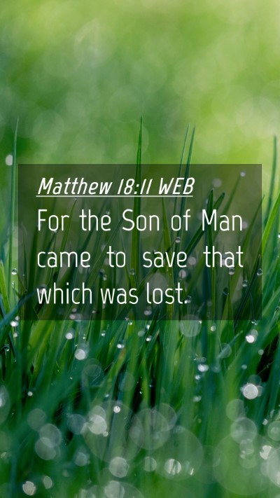 Picture 04 - Matthew 18:11 WEB Mobile Phone Wallpaper - For the Son of Man came to save that which was - Mobile Bible Verse Wallpaper