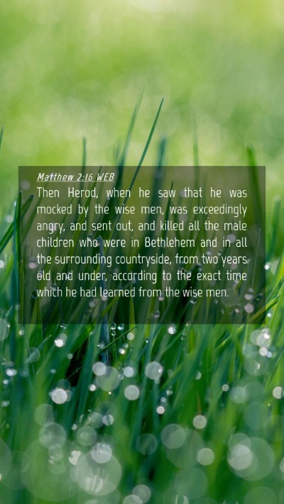 Picture 04 - Matthew 2:16 WEB Mobile Phone Wallpaper - Then Herod, when he saw that he was mocked by the - Mobile Bible Verse Wallpaper
