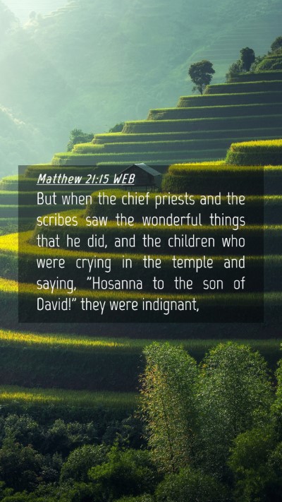 Picture 04 - Matthew 21:15 WEB Mobile Phone Wallpaper - But when the chief priests and the scribes saw - Mobile Bible Verse Wallpaper