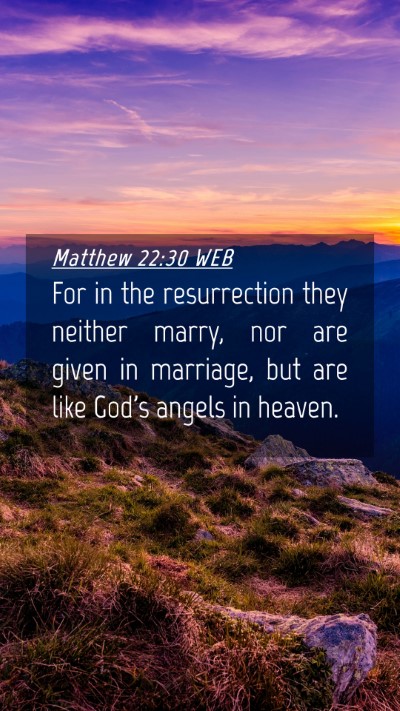 Picture 04 - Matthew 22:30 WEB Mobile Phone Wallpaper - For in the resurrection they neither marry, nor - Mobile Bible Verse Wallpaper