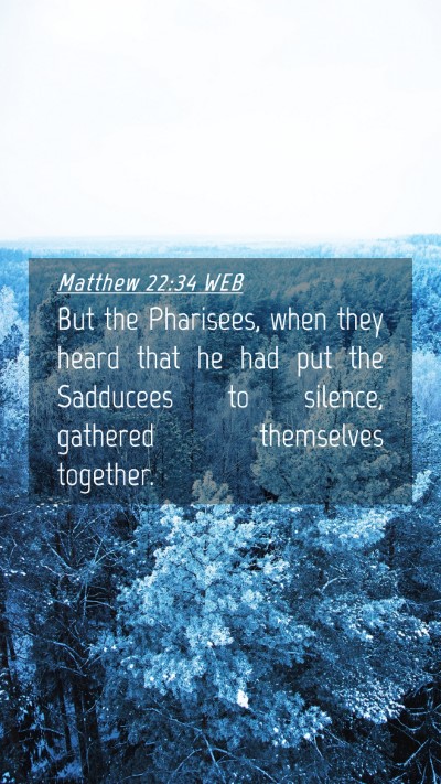 Picture 04 - Matthew 22:34 WEB Mobile Phone Wallpaper - But the Pharisees, when they heard that he had - Mobile Bible Verse Wallpaper