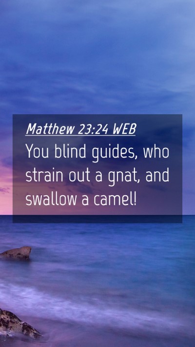 Picture 04 - Matthew 23:24 WEB Mobile Phone Wallpaper - You blind guides, who strain out a gnat, and - Mobile Bible Verse Wallpaper