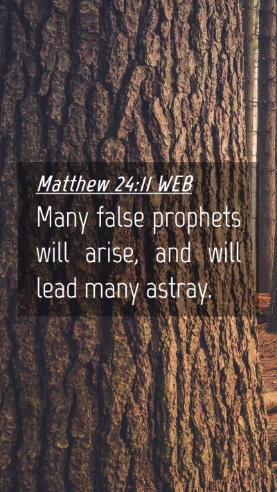 Picture 04 - Matthew 24:11 WEB Mobile Phone Wallpaper - Many false prophets will arise, and will lead - Mobile Bible Verse Wallpaper