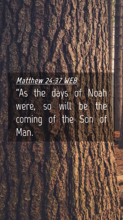Picture 04 - Matthew 24:37 WEB Mobile Phone Wallpaper - 