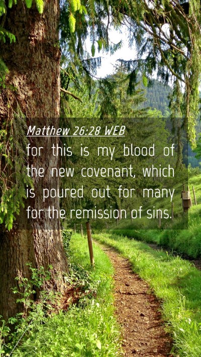 Picture 04 - Matthew 26:28 WEB Mobile Phone Wallpaper - for this is my blood of the new covenant, which - Mobile Bible Verse Wallpaper