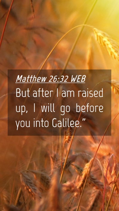 Picture 04 - Matthew 26:32 WEB Mobile Phone Wallpaper - But after I am raised up, I will go before you - Mobile Bible Verse Wallpaper