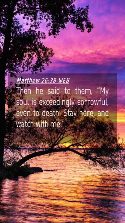 Picture 04 - Matthew 26:38 WEB Mobile Phone Wallpaper - Then he said to them, 